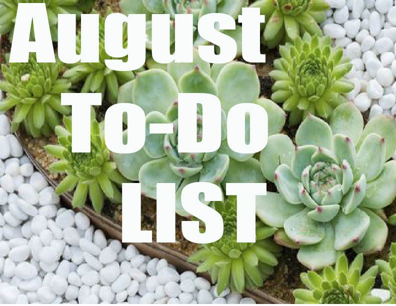 August To Do List