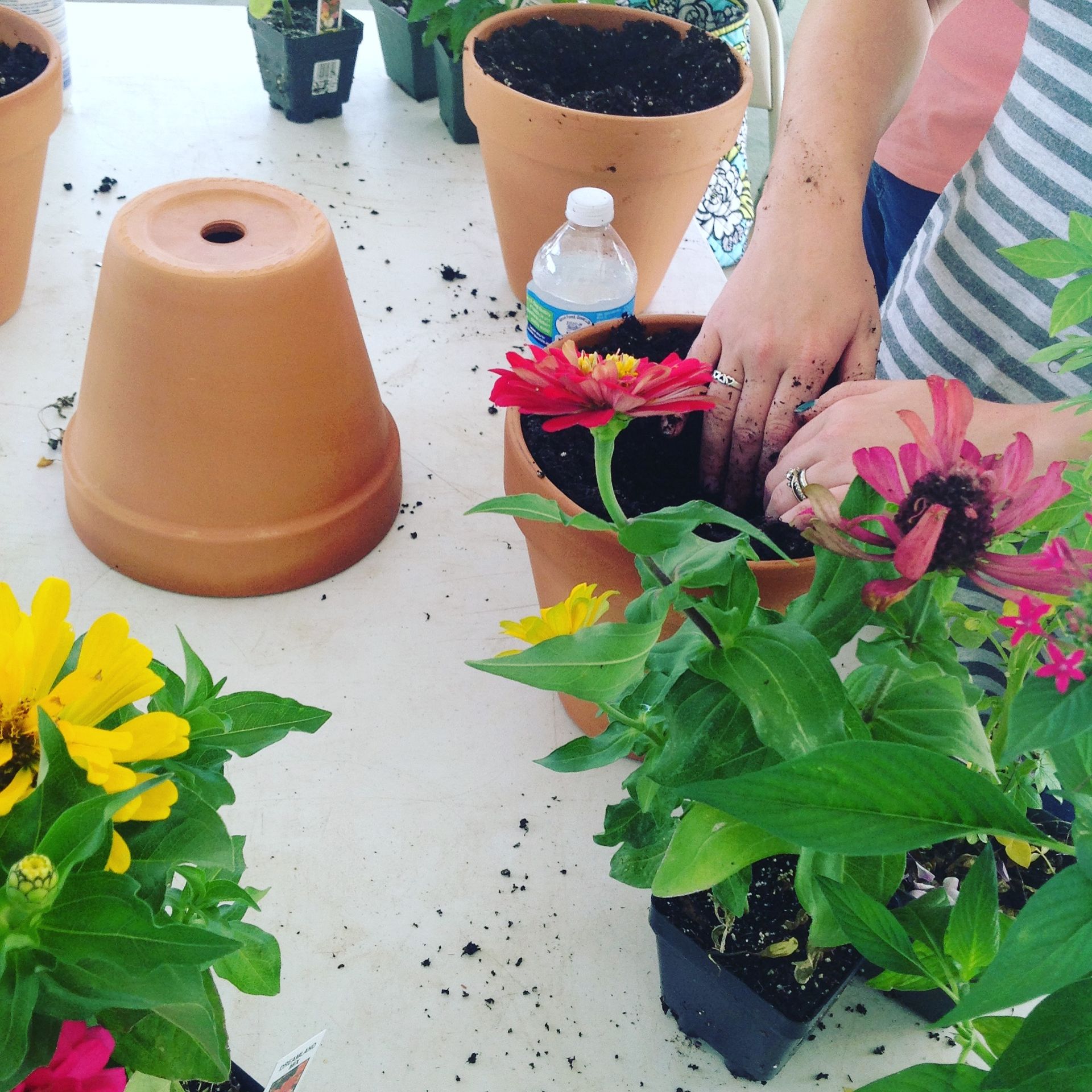 Container Garden Make and Take
