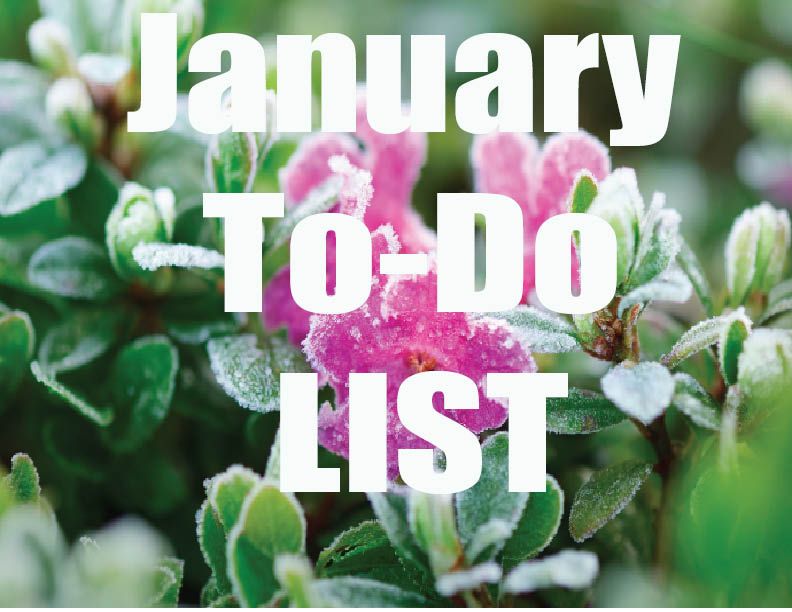 January To Do List 