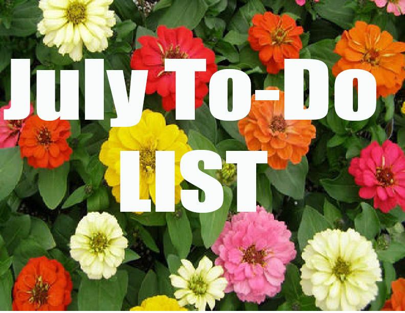 July To Do List