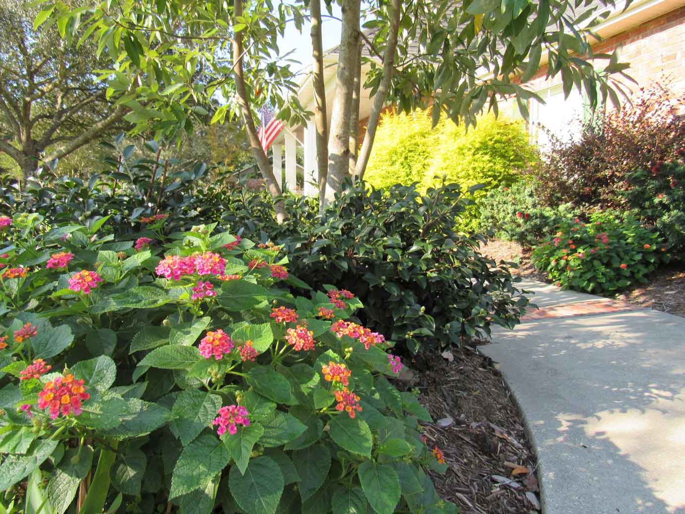 Landscaping