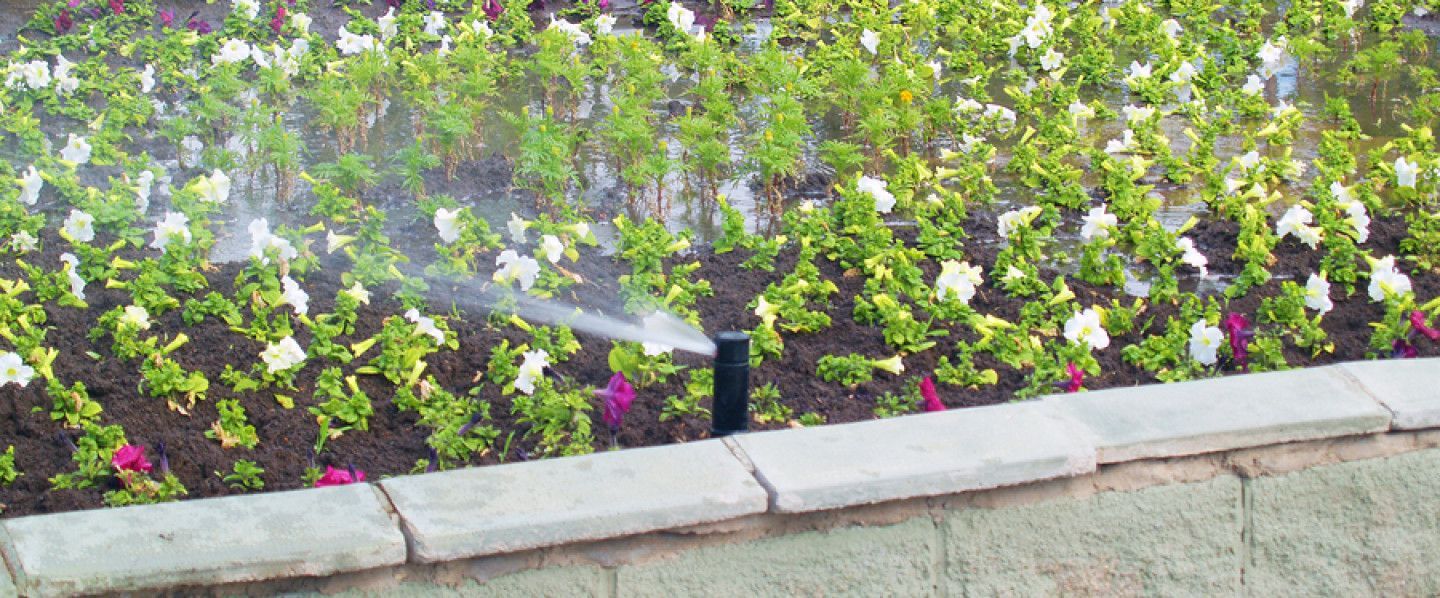 A Newly Installed Landscape Sprinkler