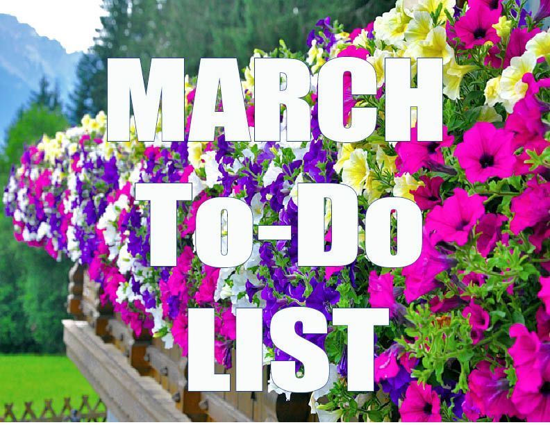 March to do list 