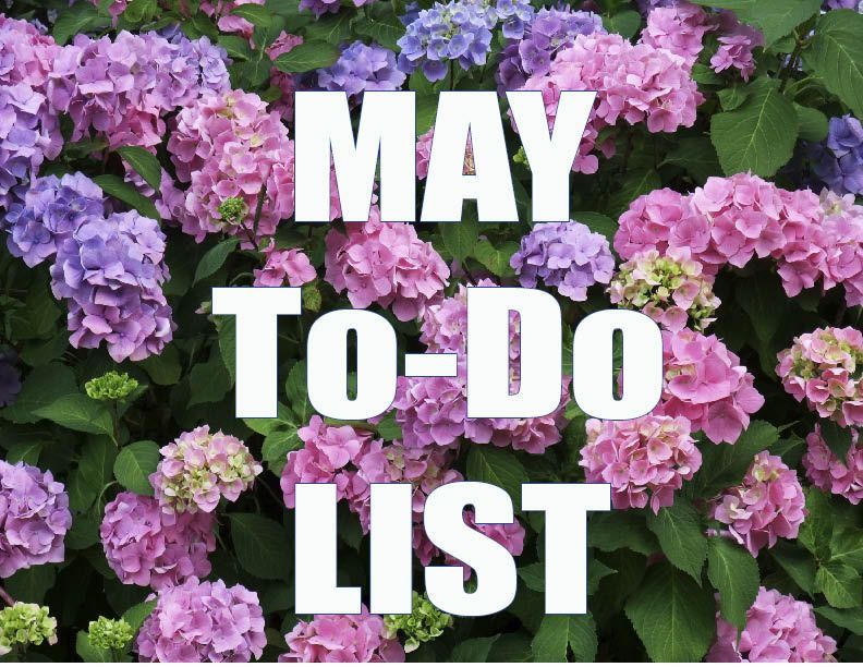 May gardening to do list 