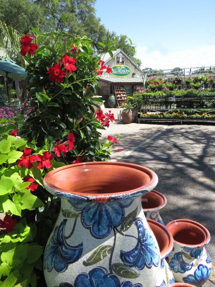 A Beautiful Landscaping