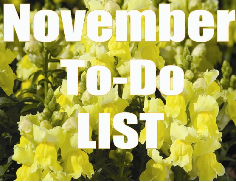 November To Do List 