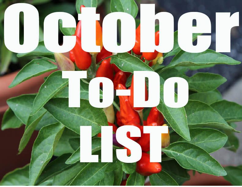 October to do list