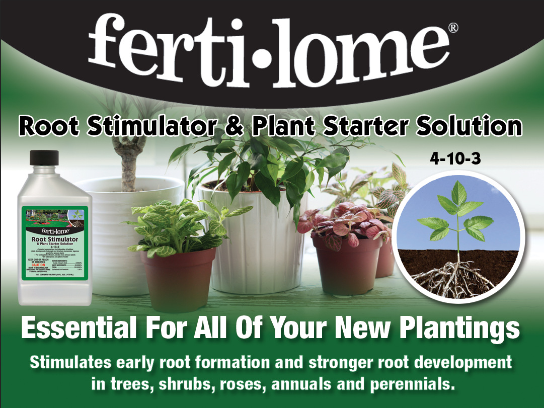 Root Stimulator