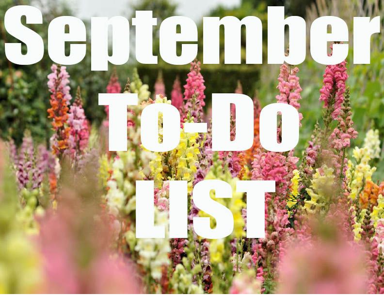 September to do list
