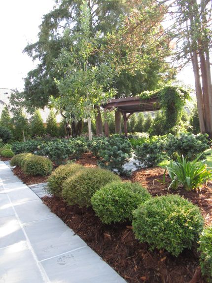 Professional Worker Trimming a Bush