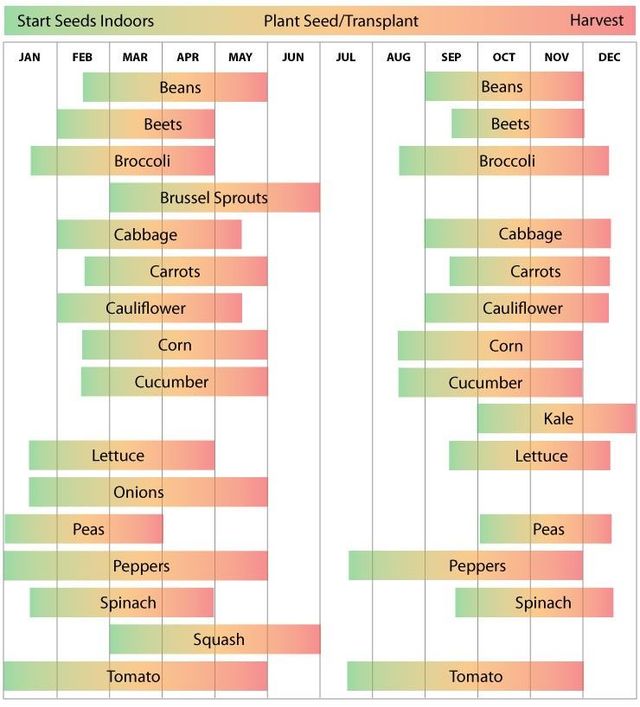 Travis County Master Gardener Planting Guide | Fasci Garden