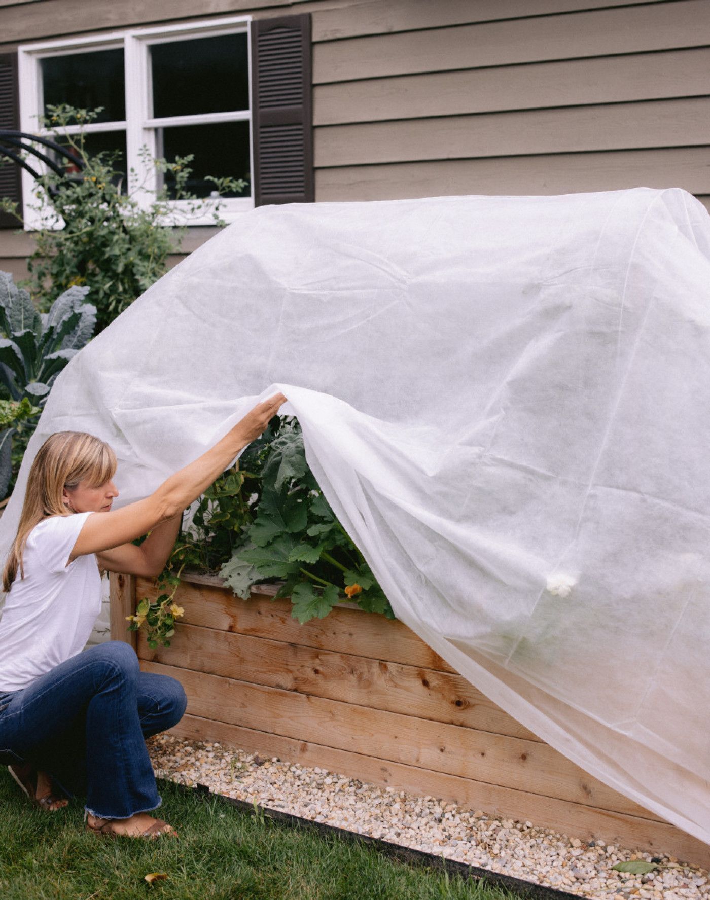 Covering a plant