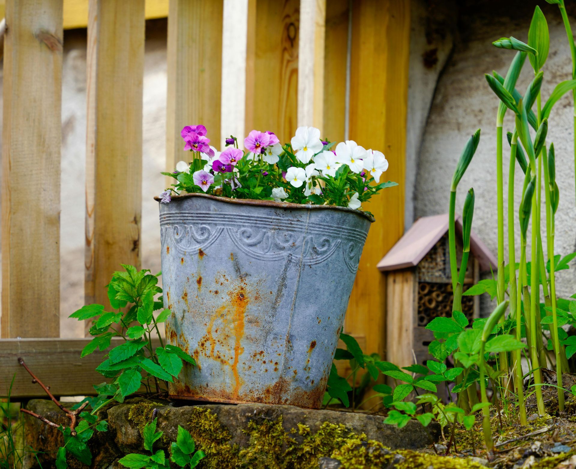 Summer to Fall Container Garden
