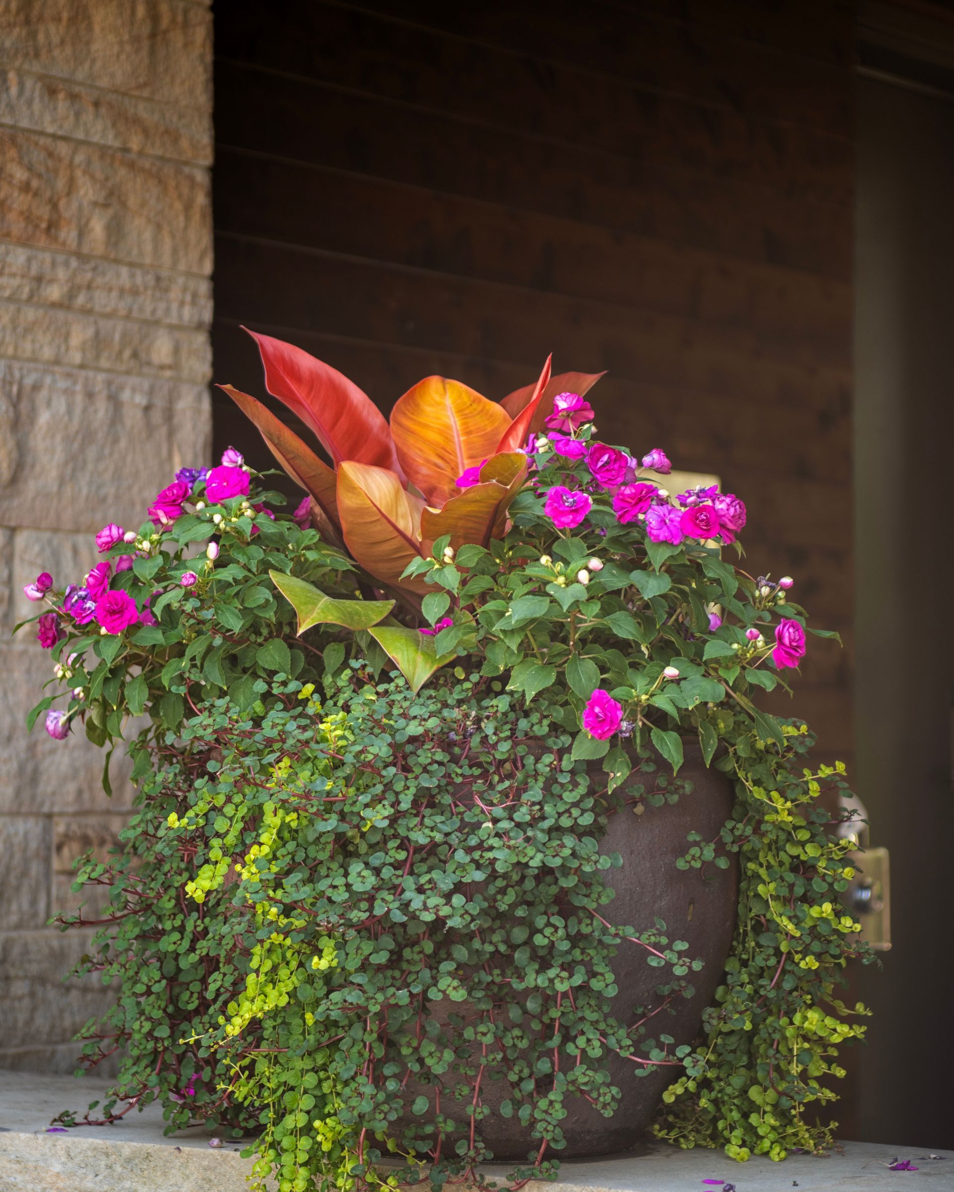 Fall container garden