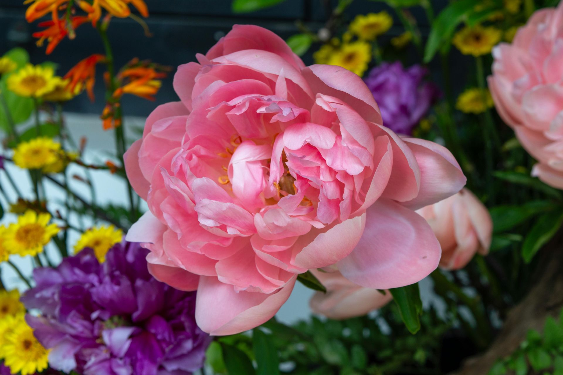 Mothers Day Must Haves