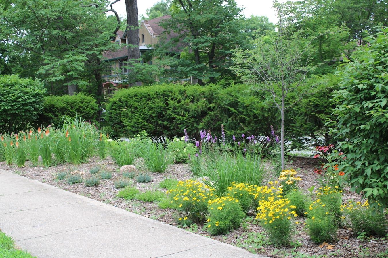 Landscape Plant — South Bend , IN — Fuerbringer Landscaping & Design