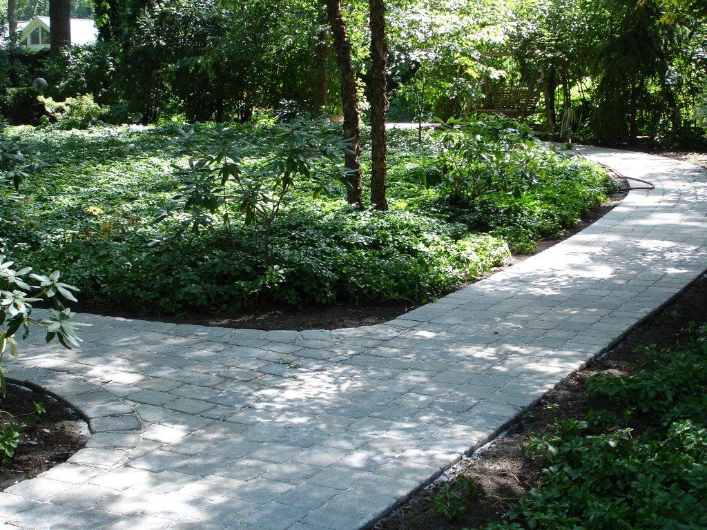 A paved garden path curves through greenery and under trees.