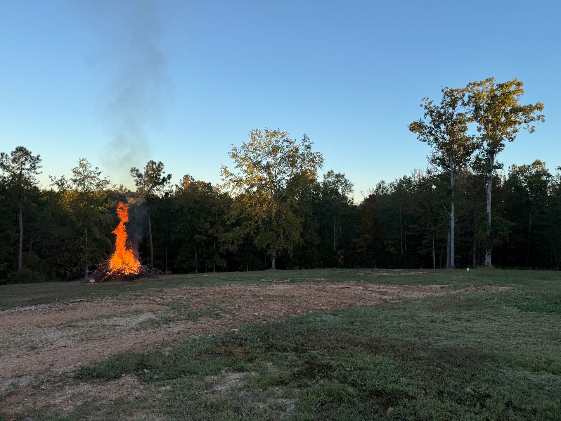Large bonfire burning in the edge of a forest, with orange flames and smoke visible against a blue sky.