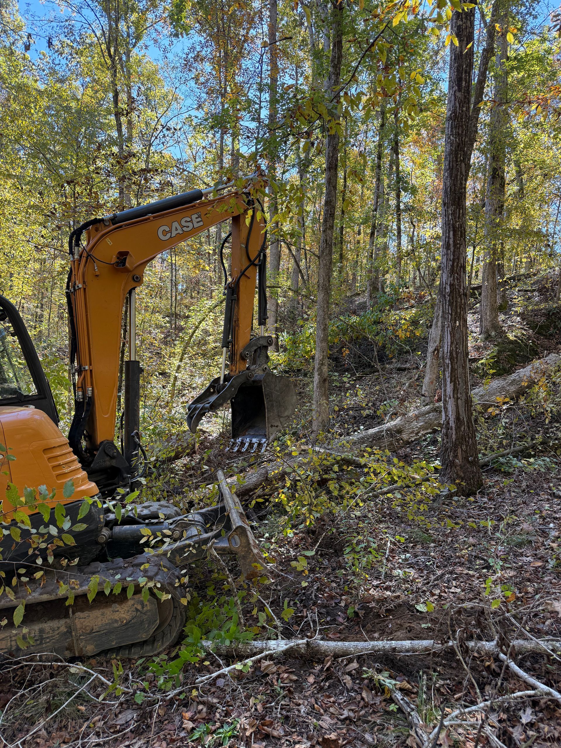 Orange excavator removing trees in a wooded area on a sunny day.