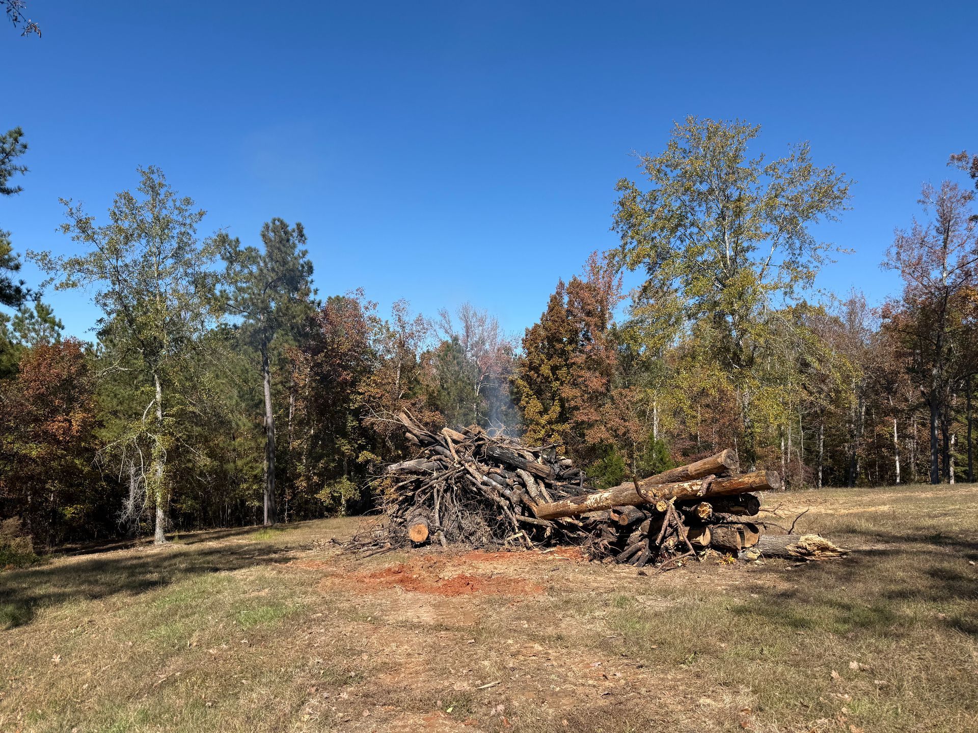 Pile of firewood burning in a grassy field with trees under a blue sky.