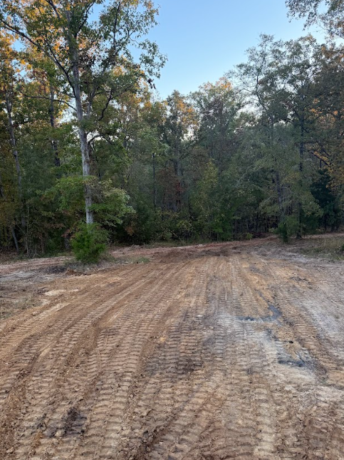 Cleared dirt lot with tire tracks, leading to a tree line.