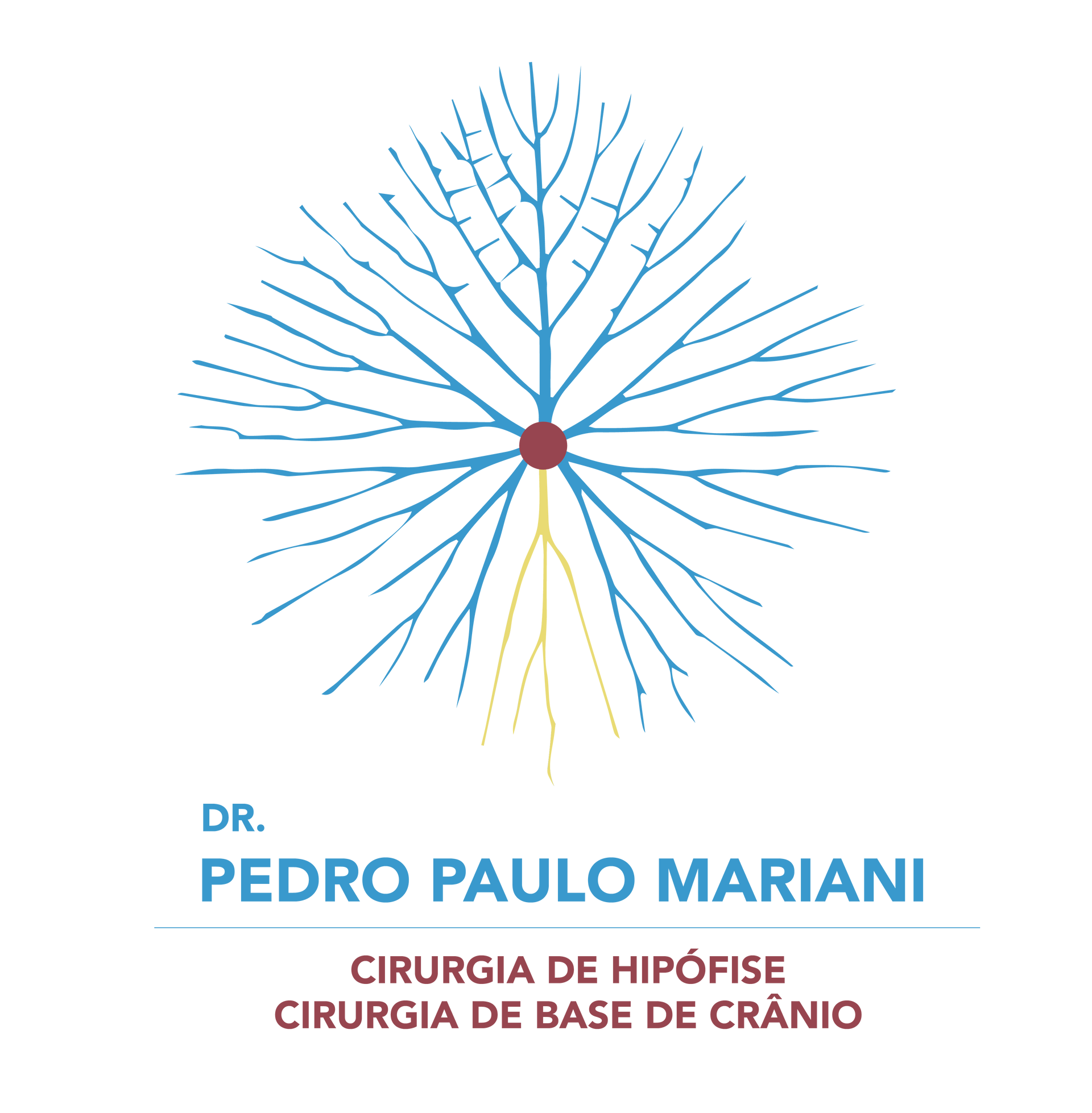 Logotipo: linhas azuis ramificadas emanando de um ponto vermelho central, com o nome