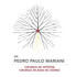 Logotipo: ramificação semelhante a uma árvore a partir de um ponto vermelho central, raízes amarelas