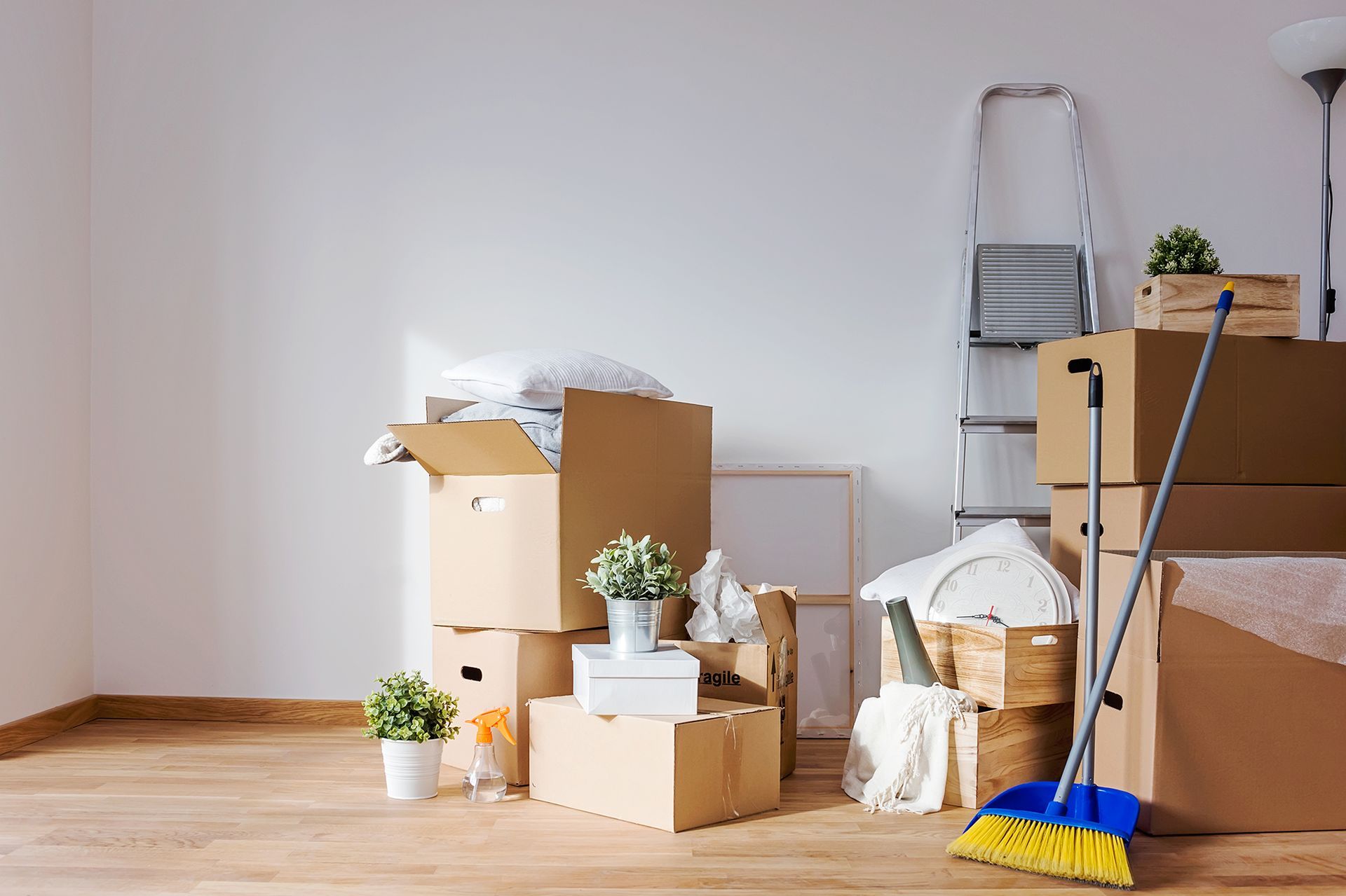 Boxes stacked in an empty room; a ladder and broom lean against a white wall; plants sit on top of boxes.
