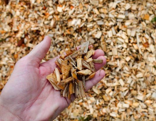 A person is holding a pile of wood chips in their hand.