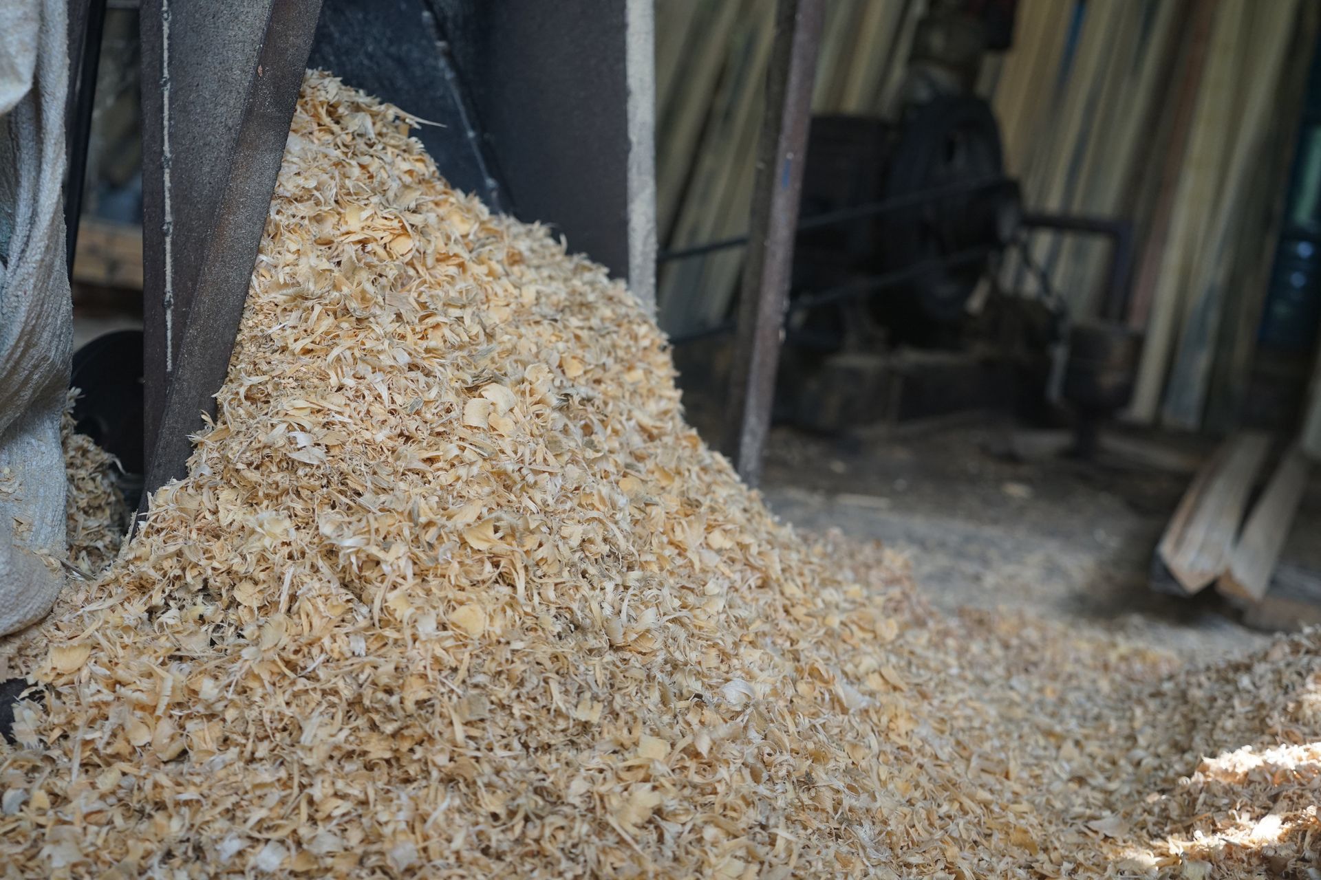 A pile of wood shavings is being poured into a bag.