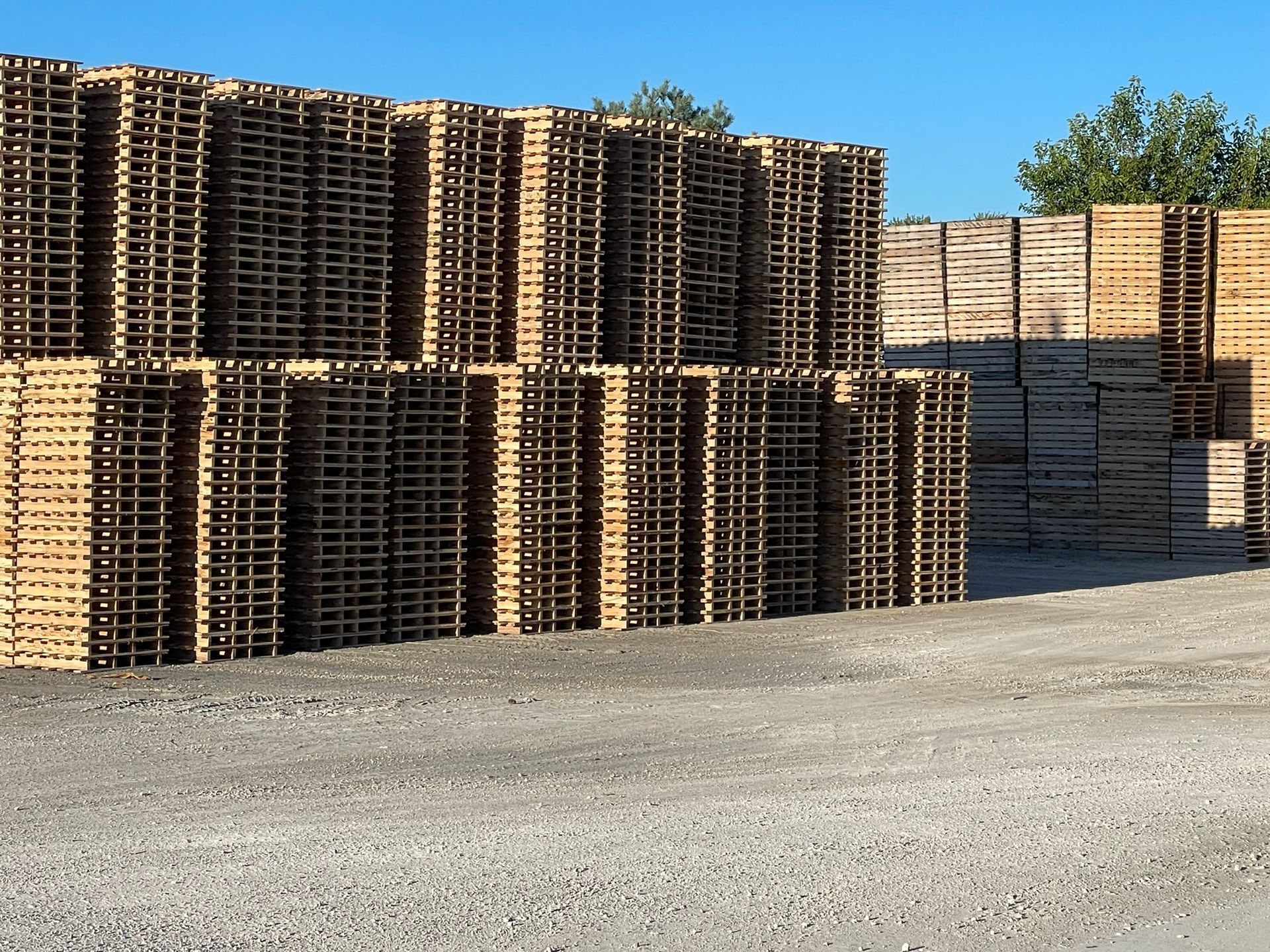 A lot of wooden pallets are stacked on top of each other