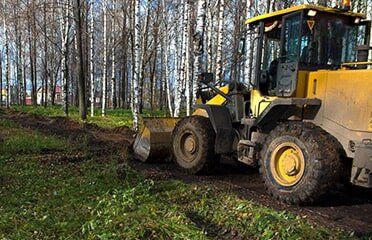 Land Clearing — Emergency tree removal, New England in Inverell, NSW