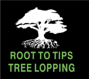 Root To Tips Tree Lopping