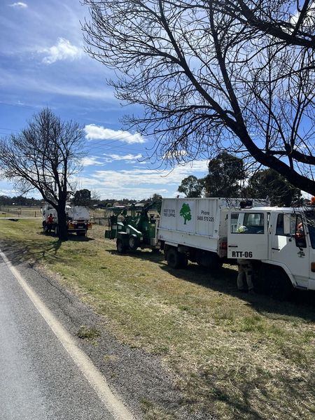 Tree service — Emergency tree removal, New England in Inverell, NSW