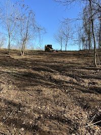 An aerial view of a dirt road in the middle of a forest.