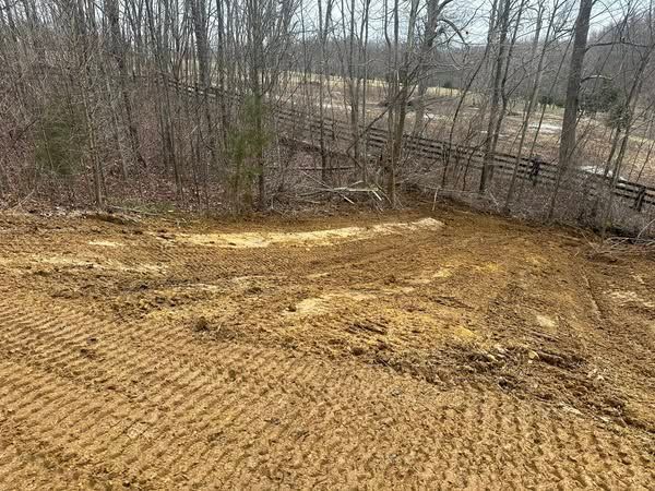 An aerial view of a dirt road in the middle of a forest.