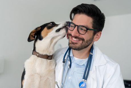 Dog Licking The Doctor — Lumberton, NC  — Baird's Animal Hospital
