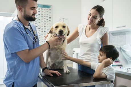 Emergency Room With The Family Dog — Lumberton, NC  — Baird's Animal Hospital