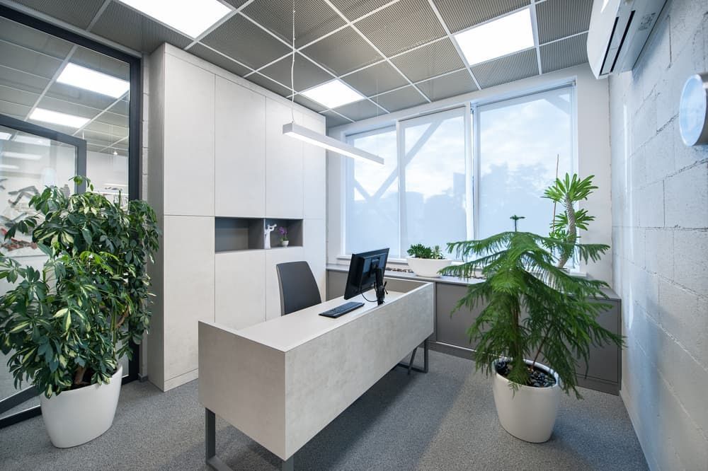 A Modern Office with A Desk , Chair , Computer and Potted Plants — Hantis Electrical Solutions in North Nowra, NSW