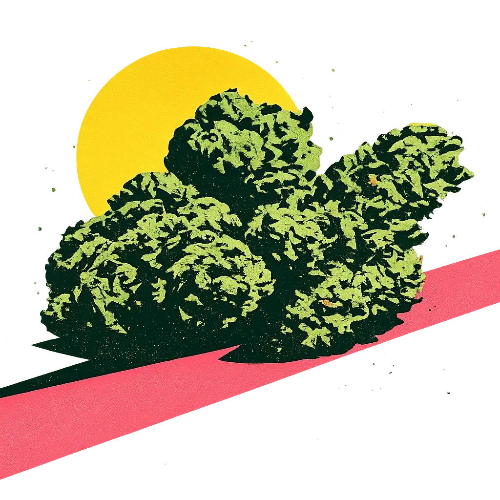 Stylized green bush with yellow sun behind it and a pink diagonal band on white background