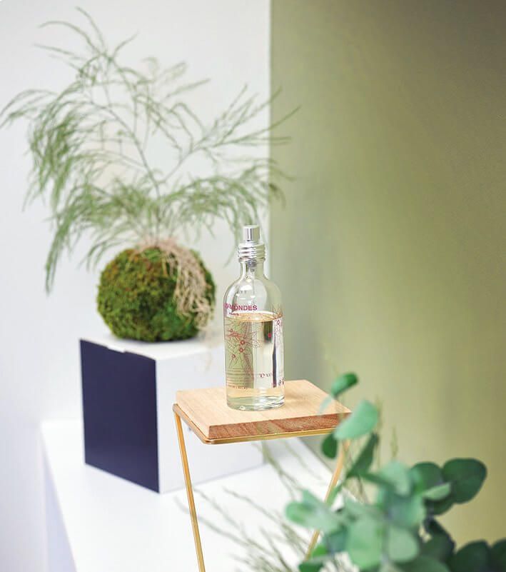 Une bouteille d'eau est posée sur une table en bois à côté d'une plante.