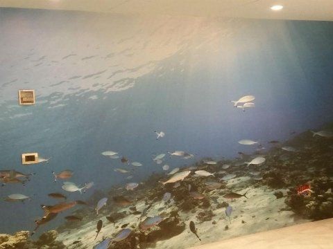 decorazione muraria a tema marino