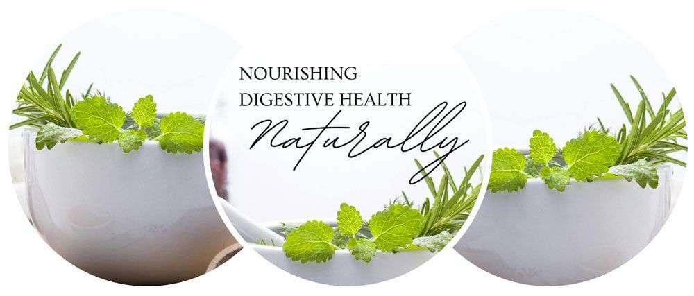Nourishing Digestive Health Naturally — Charlotte, NC — Digestion by Design 
