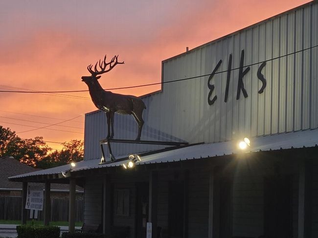 Elks building with a large elk sculpture on the roof silhouetted against a sunset sky. 