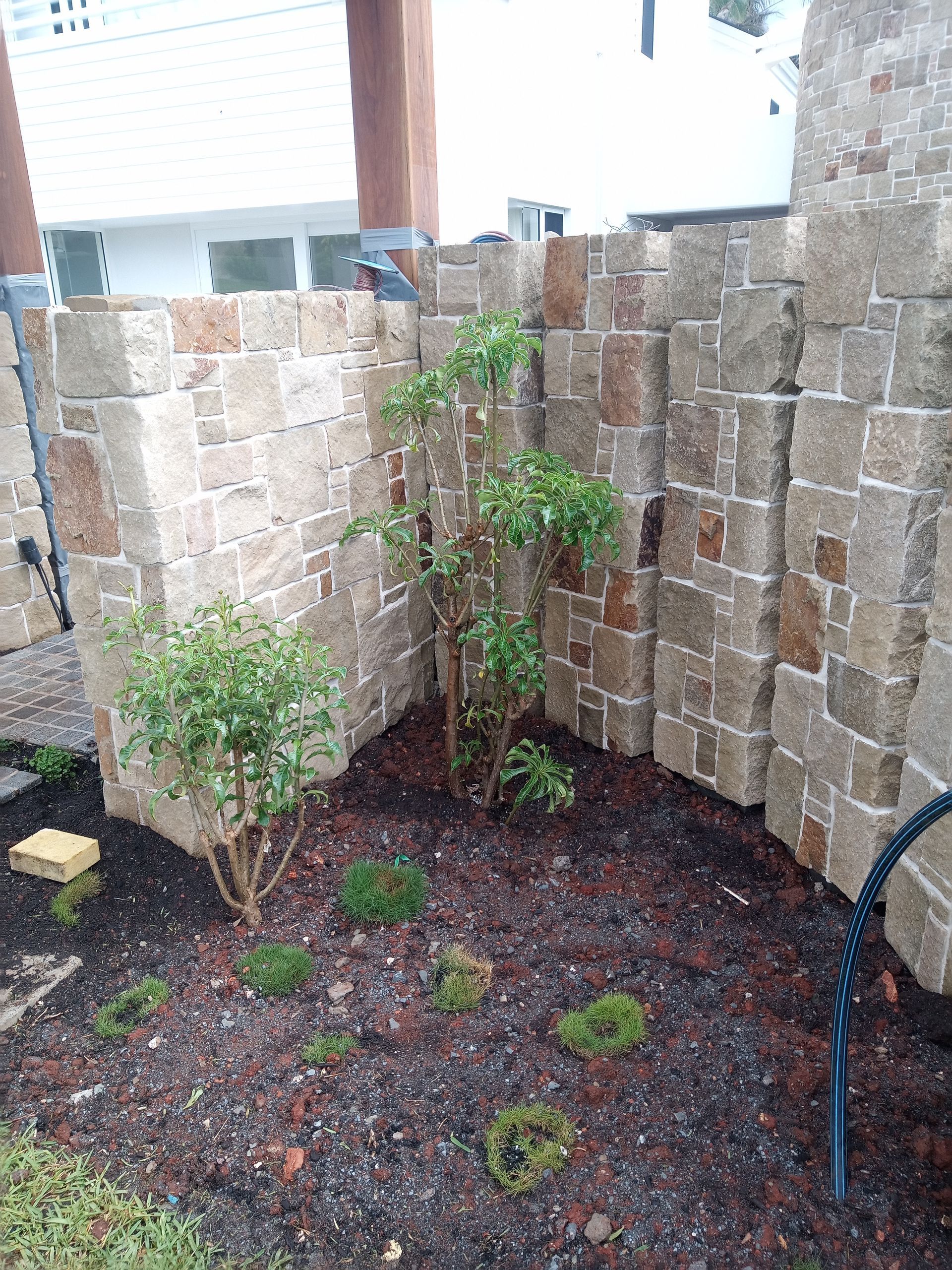 A stone wall with a tree in the middle of it.— Midcoast Irrigation & Horticultural Supplies In Wauchope, NSW