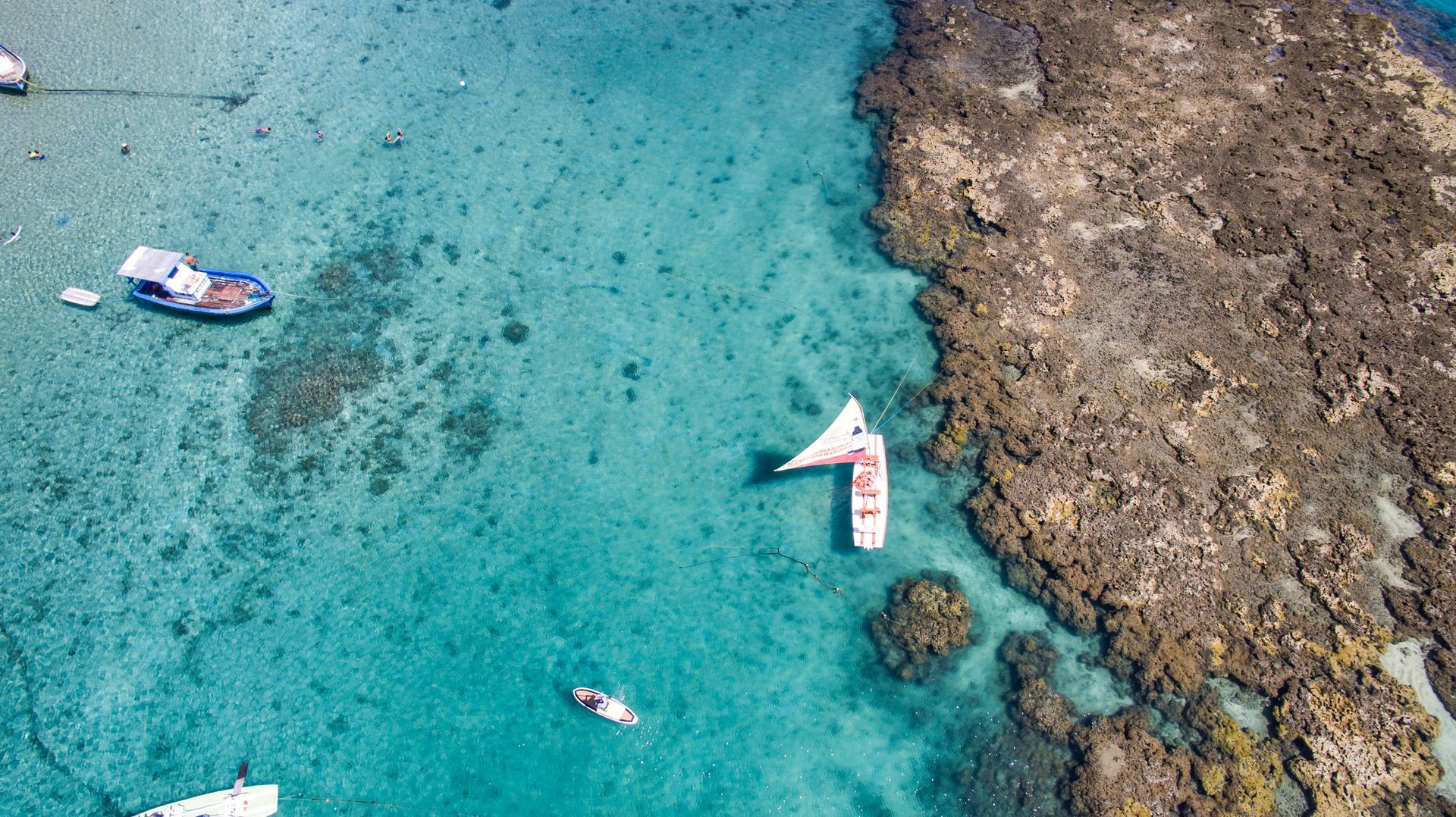 Vista aérea vertical de drone mostrando uma jangada tradicional com vela colorida navegando pelo mar turquesa cristalino ao lado de recifes de corais em Porto de Galinhas