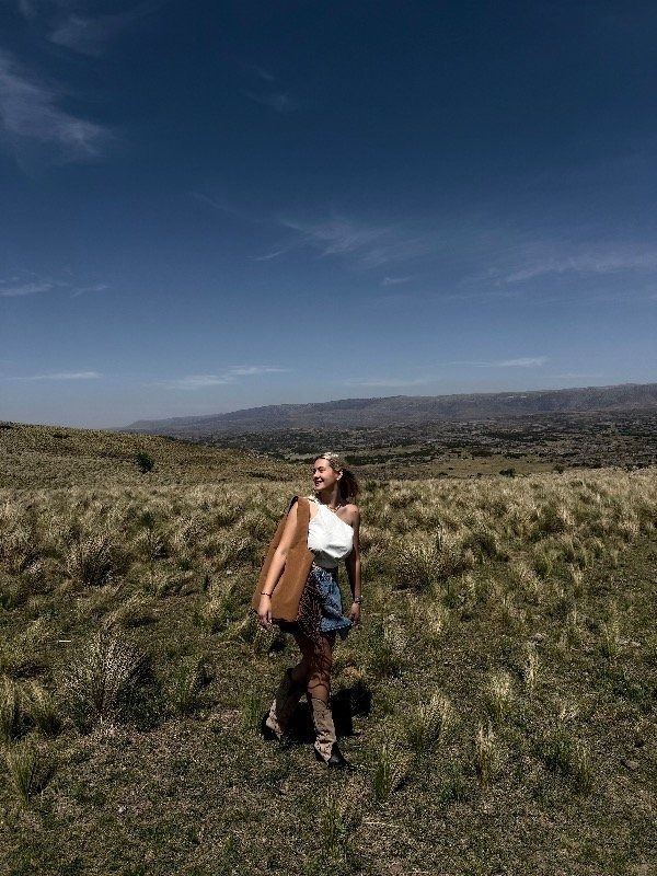 Bolso marrón de ante con flecos colgado de una valla de madera, al aire libre.