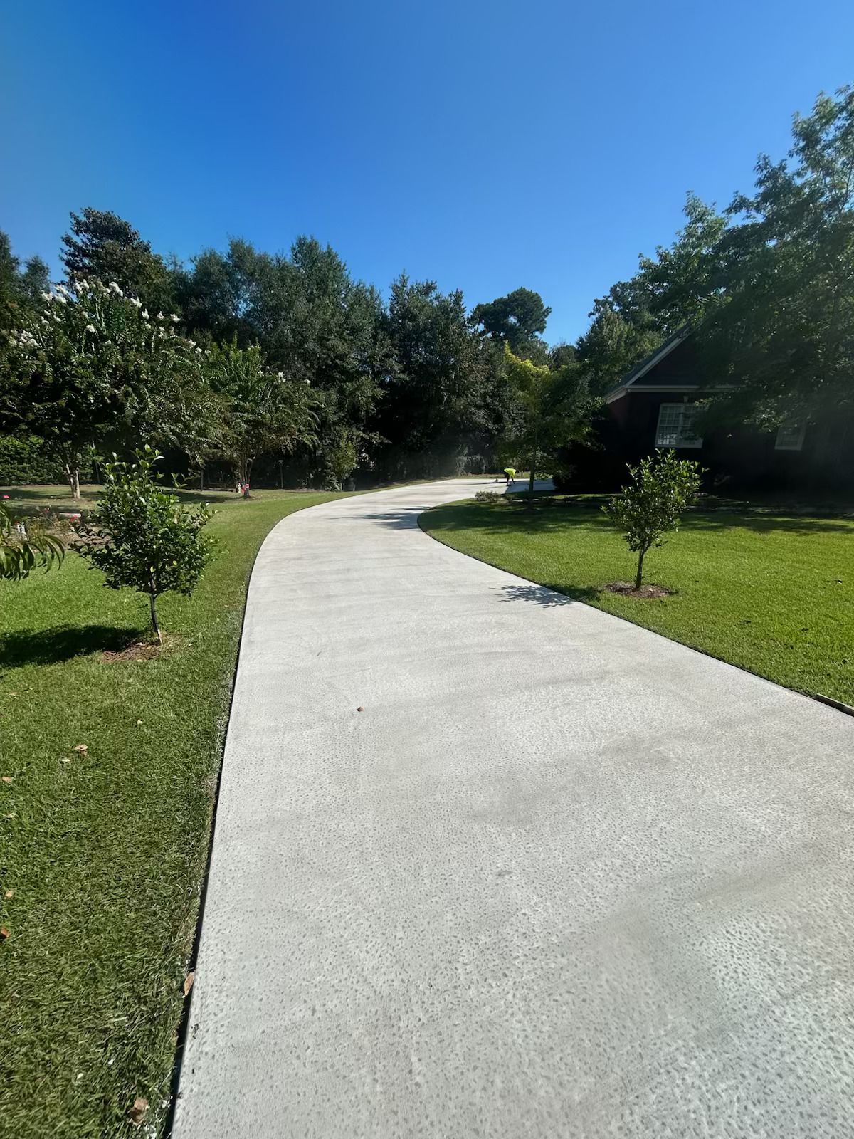 Concrete driveway curving through grassy lawn, trees line the sides, clear blue sky.