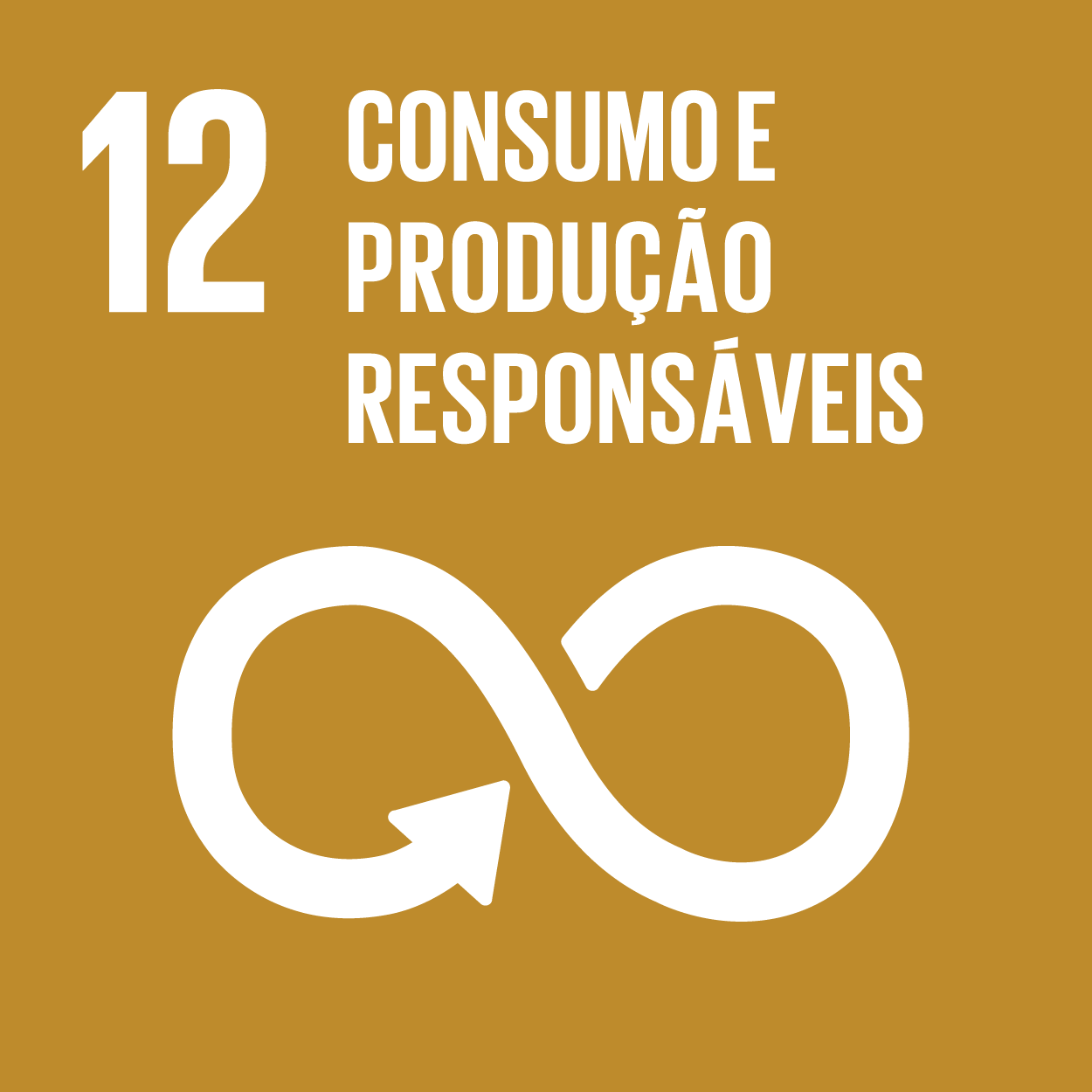 ODS 12: Consumo e Produção Responsáveis. Símbolo do infinito branco sobre fundo marrom com o número 12.