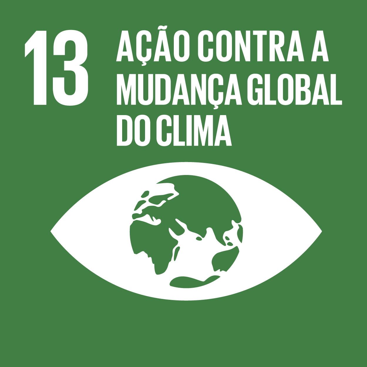 SDG 13: Climate Action. White eye shape with Earth globe, on green background. Text: 